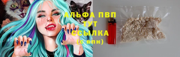сатива Богородск