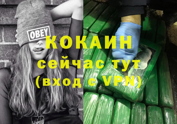 первитин Богданович